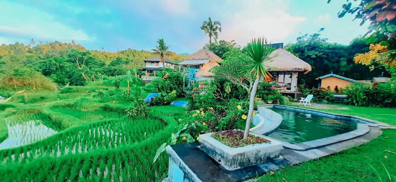 Pondok Apsari 2 新加拉惹 外观 照片